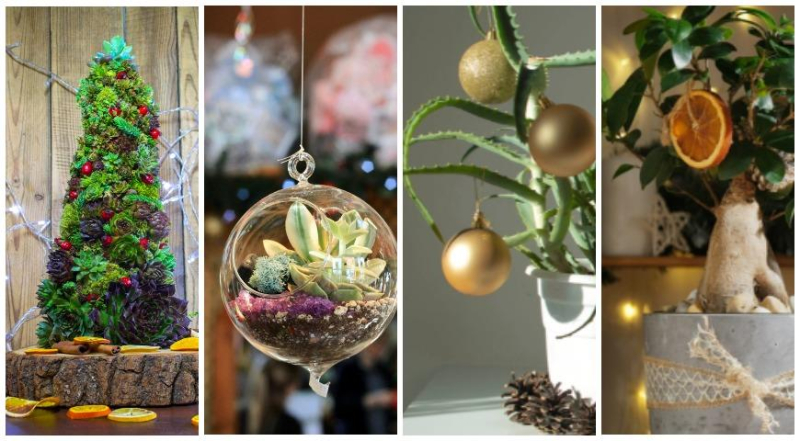 9 простых решений, которые добавят рождественские ароматы в ваш дом