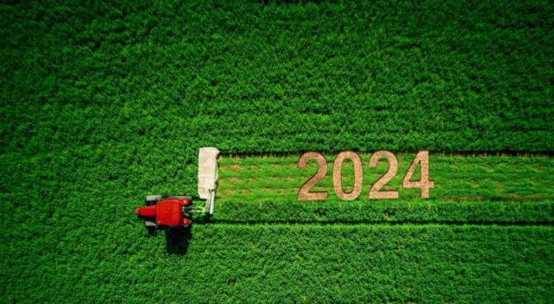 Узнаем, как влияет високосный 2024 год на растения и садоводство