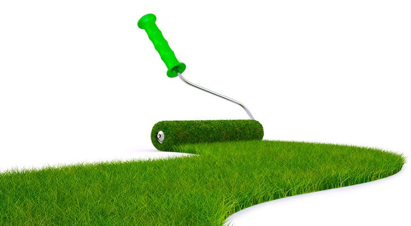 Удобряем газон: как использовать специальные газонные удобрения