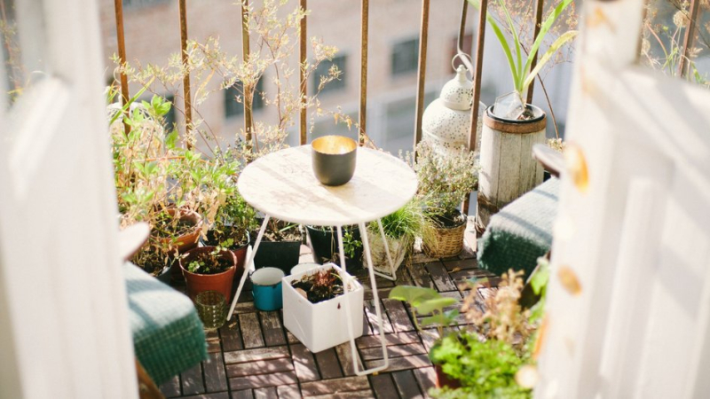 Как превратить лоджию в оранжерею: 7 полезных советов по обустройству и озеленению в квартире